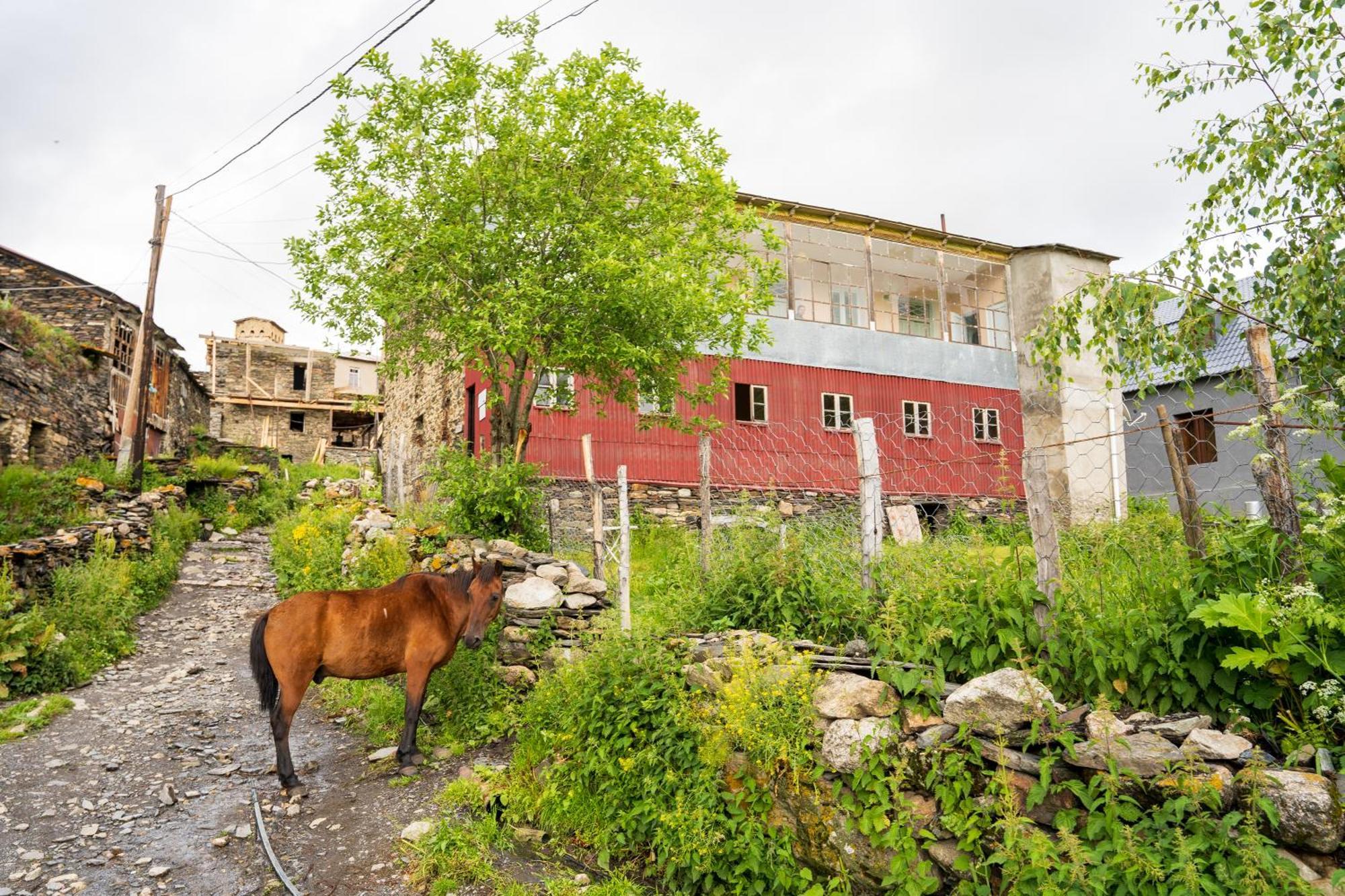Guesthouse Svani Usguli Kültér fotó
